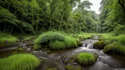 Nature's Palette Lowland Species in Contrasting View