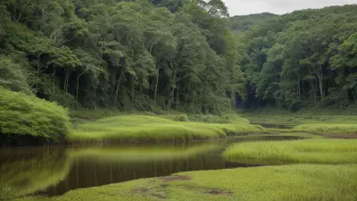 Nature's Palette Lowland Species in Contrasting View