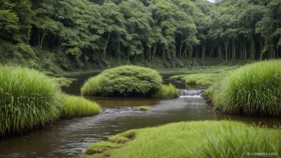 Nature's Palette Lowland Species in Contrasting View