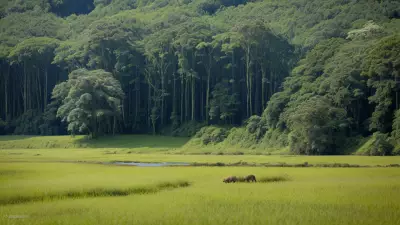 Nature's Palette Lowland Species in Contrasting View