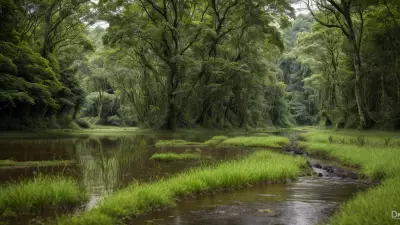 Nature's Palette Lowland Species in Contrasting View