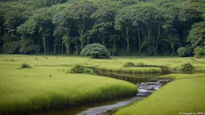 Nature's Palette Lowland Species in Contrasting View