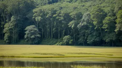 Nature's Palette Lowland Species in Contrasting View