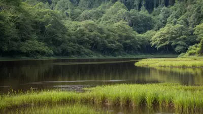 Nature's Palette Lowland Species in Contrasting View