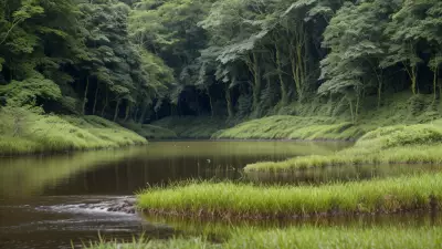 Nature's Palette Lowland Species in Contrasting View