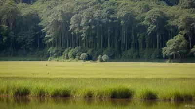 Nature's Palette Lowland Species in Contrasting View