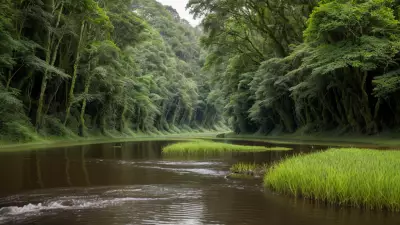 Nature's Palette Lowland Species in Contrasting View