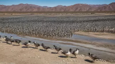 Expressive Wildlife Photography Flocking Birds in Their Natural Habitat