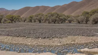 Expressive Wildlife Photography Flocking Birds in Their Natural Habitat