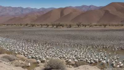 Expressive Wildlife Photography Flocking Birds in Their Natural Habitat