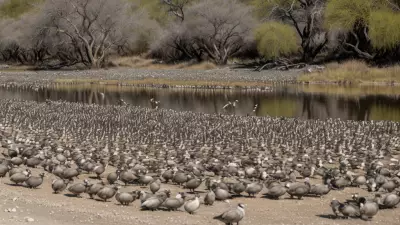 Expressive Wildlife Photography Flocking Birds in Their Natural Habitat