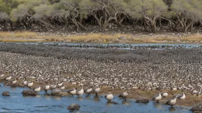 Expressive Wildlife Photography Flocking Birds in Their Natural Habitat