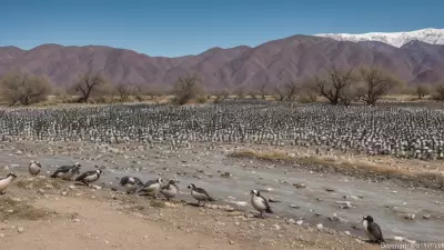 Expressive Wildlife Photography Flocking Birds in Their Natural Habitat