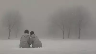 Printed Bonds in a Snowy Impression