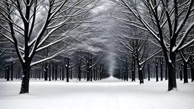 Monochrome Dreams in Jewels and Snow