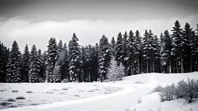 Monochrome Dreams in Jewels and Snow