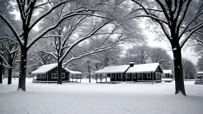 Monochrome Dreams in Jewels and Snow