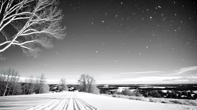 Monochrome Dreams in Jewels and Snow