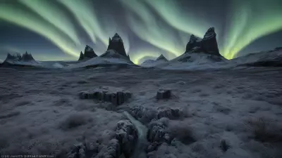 Frozen Enchantment