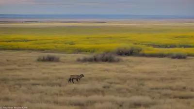 Missions on the Move Capturing the Beauty of the Prairie with Marvin Koner