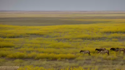 Missions on the Move Capturing the Beauty of the Prairie with Marvin Koner