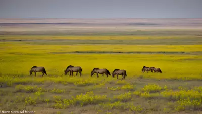 Missions on the Move Capturing the Beauty of the Prairie with Marvin Koner