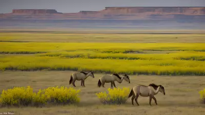 Missions on the Move Capturing the Beauty of the Prairie with Marvin Koner