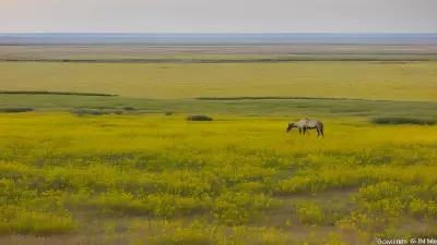 Missions on the Move Capturing the Beauty of the Prairie with Marvin Koner