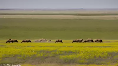 Missions on the Move Capturing the Beauty of the Prairie with Marvin Koner