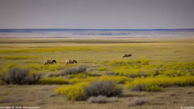 Missions on the Move Capturing the Beauty of the Prairie with Marvin Koner