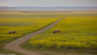 Missions on the Move Capturing the Beauty of the Prairie with Marvin Koner