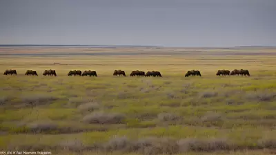 Missions on the Move Capturing the Beauty of the Prairie with Marvin Koner