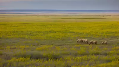 Missions on the Move Capturing the Beauty of the Prairie with Marvin Koner