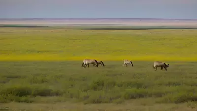 Missions on the Move Capturing the Beauty of the Prairie with Marvin Koner