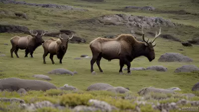 Majestic Mammals of the Serpentinite Outcrop