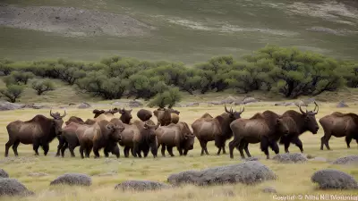 Majestic Mammals of the Serpentinite Outcrop