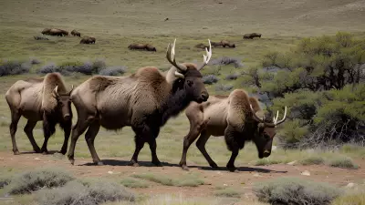 Majestic Mammals of the Serpentinite Outcrop