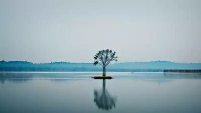 Minimalism and Watercolor The Ultimate Photo Project