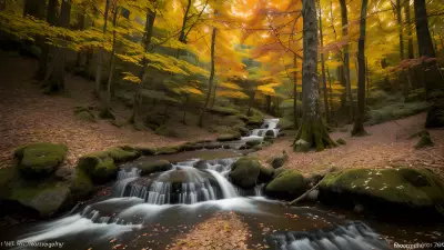 Transient Beauty in the Temperate Forest Capturing Contrasts in Nature's Elusive Protagonist