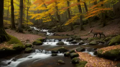 Transient Beauty in the Temperate Forest Capturing Contrasts in Nature's Elusive Protagonist