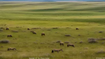 Diverse Grasslands Capturing the Pristine Landscapes and Unique Protagonists in the Rule of Thirds