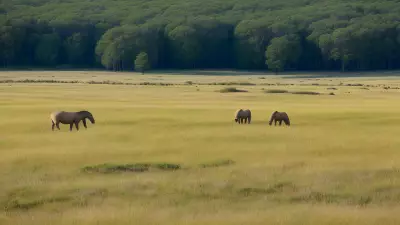 Diverse Grasslands Capturing the Pristine Landscapes and Unique Protagonists in the Rule of Thirds