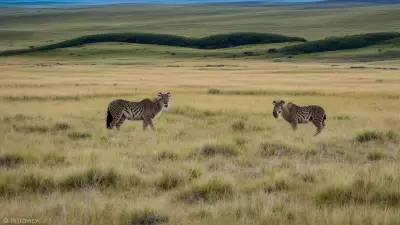 Diverse Grasslands Capturing the Pristine Landscapes and Unique Protagonists in the Rule of Thirds