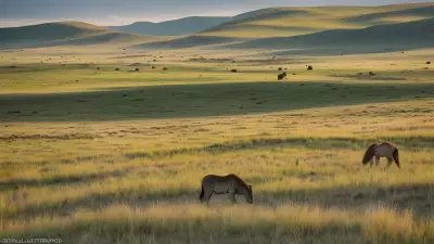 Diverse Grasslands Capturing the Pristine Landscapes and Unique Protagonists in the Rule of Thirds