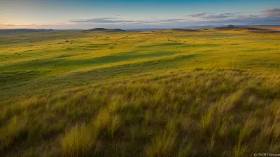 Diverse Grasslands Capturing the Pristine Landscapes and Unique Protagonists in the Rule of Thirds