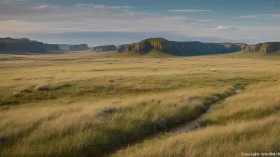 Diverse Grasslands Capturing the Pristine Landscapes and Unique Protagonists in the Rule of Thirds