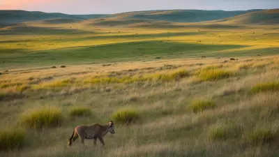 Diverse Grasslands Capturing the Pristine Landscapes and Unique Protagonists in the Rule of Thirds