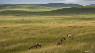 Diverse Grasslands Capturing the Pristine Landscapes and Unique Protagonists in the Rule of Thirds