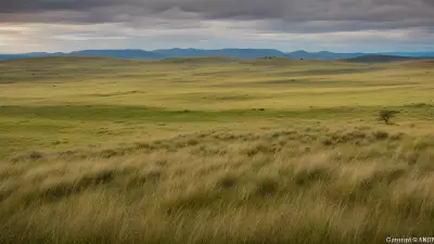 Diverse Grasslands Capturing the Pristine Landscapes and Unique Protagonists in the Rule of Thirds