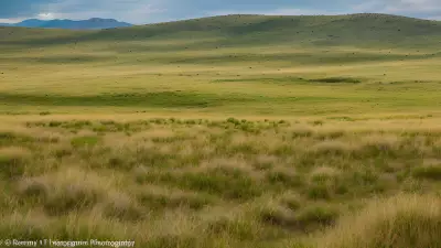 Diverse Grasslands Capturing the Pristine Landscapes and Unique Protagonists in the Rule of Thirds